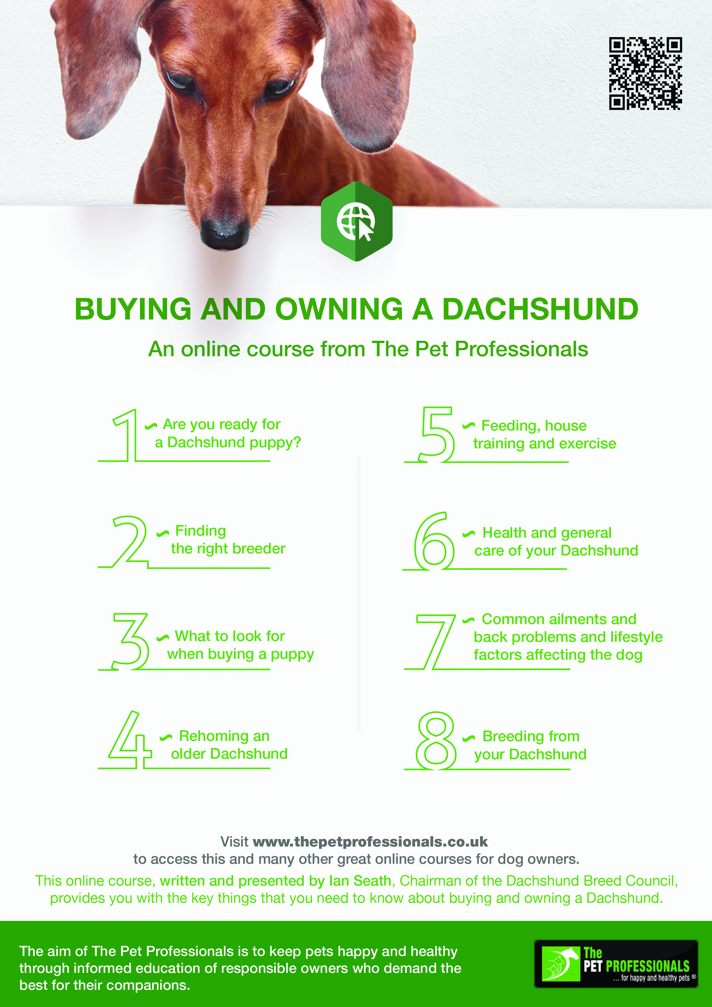 Buying \u0026 owning a Dachshund – an online 